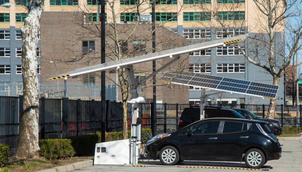 Custom Designed  Solar Tree  EV Charging Station and Construction